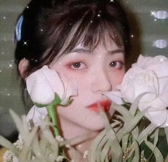 你还是不懂群马