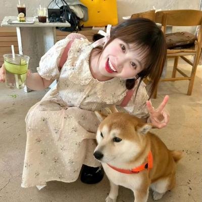 求爱三兄弟